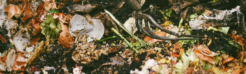 Compost organics food waste